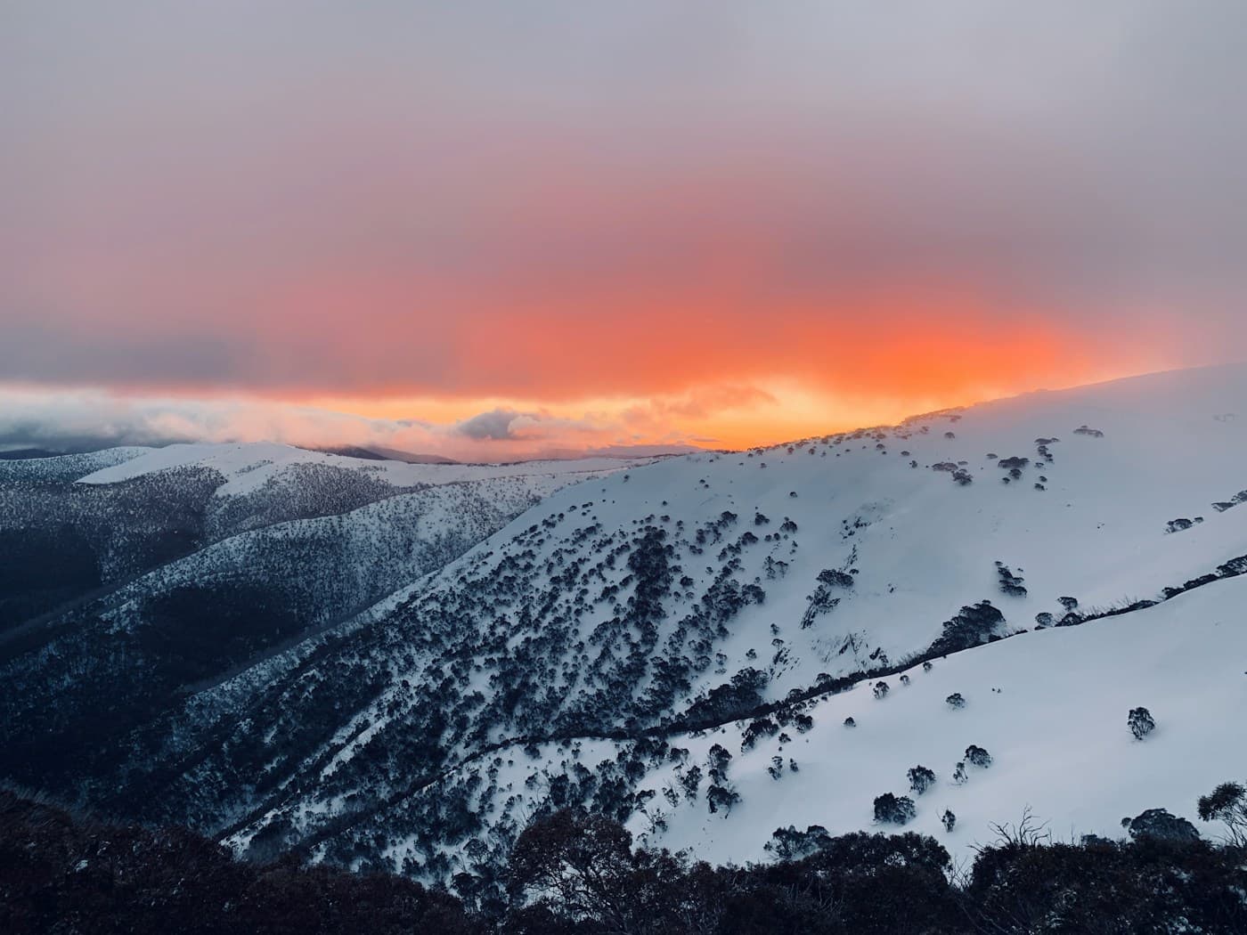 Snow-covered Victorian alpine mountains for Mount Hotham winter transfers